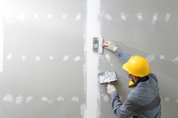 Best Environmental Consulting for Mold Prevention  in Steele, MO