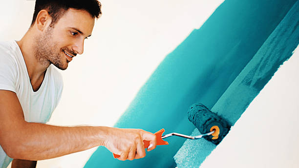 Best Mold Documentation for Insurance Claims  in Steele, MO
